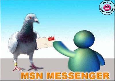Laissez vos adresses MSN