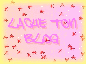 Lache ton Blog!